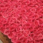 Naktī uz 8. martu no ziedu veikala Ulbrokā nozagtas visas rozes